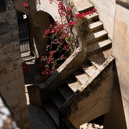 Ricci