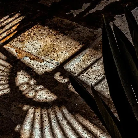 Ricci 게스트하우스 4*